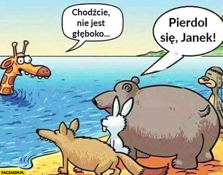 
    Żyrafa: wskakujcie, nie jest tak głęboko! Inne zwierzęta: pieprz się Janek