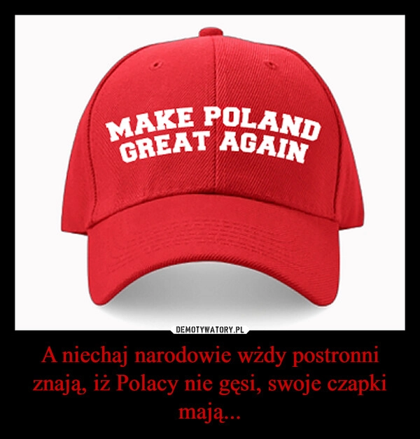 
    A niechaj narodowie wżdy postronni znają, iż Polacy nie gęsi, swoje czapki mają...