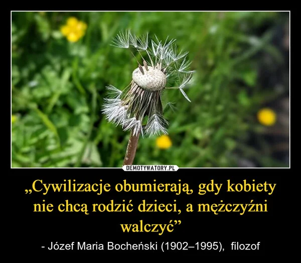 
    „Cywilizacje obumierają, gdy kobiety nie chcą rodzić dzieci, a mężczyźni walczyć”