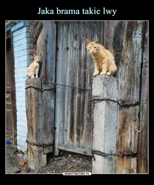 Jaka brama takie lwy