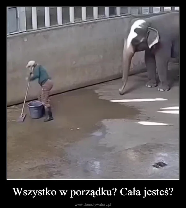 Wszystko w porządku? Cała jesteś?