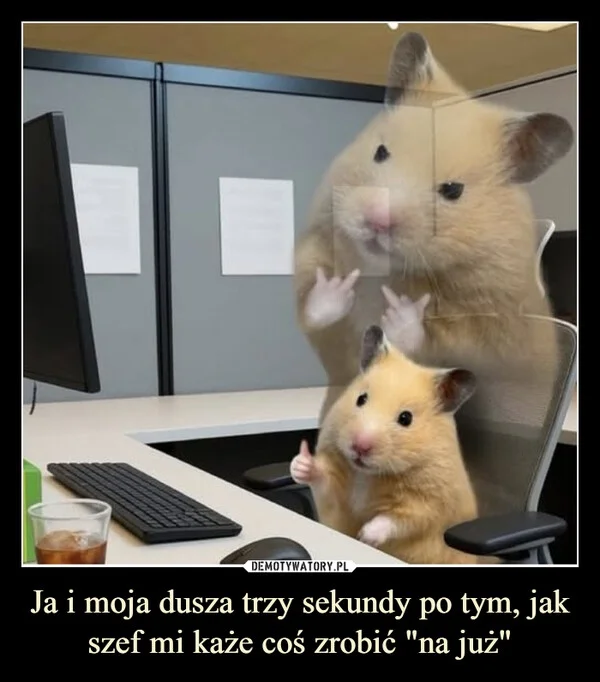 Ja i moja dusza trzy sekundy po tym, jak szef mi każe coś zrobić 