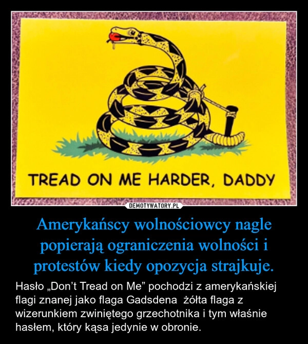 
    Amerykańscy wolnościowcy nagle popierają ograniczenia wolności i protestów kiedy opozycja strajkuje.