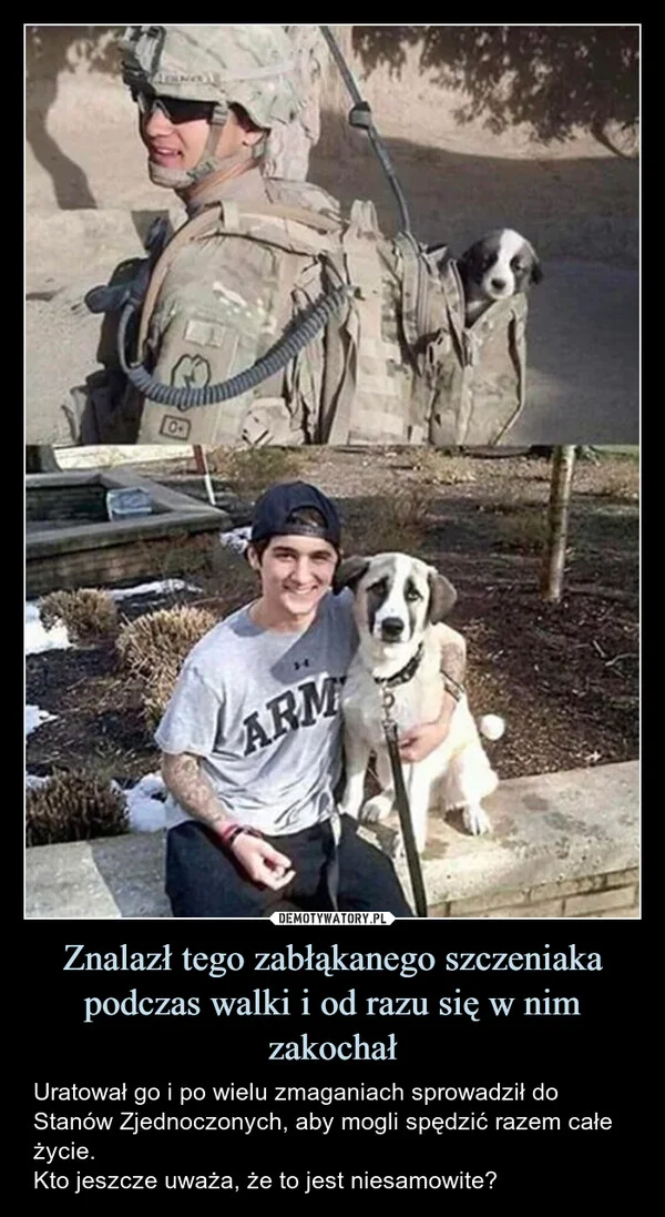 
    Znalazł tego zabłąkanego szczeniaka podczas walki i od razu się w nim zakochał