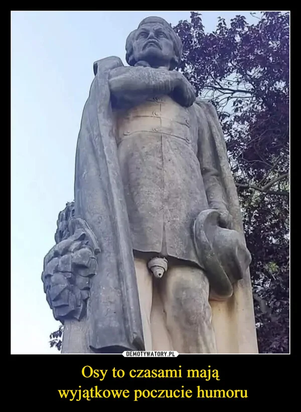 
    Osy to czasami mają wyjątkowe poczucie humoru