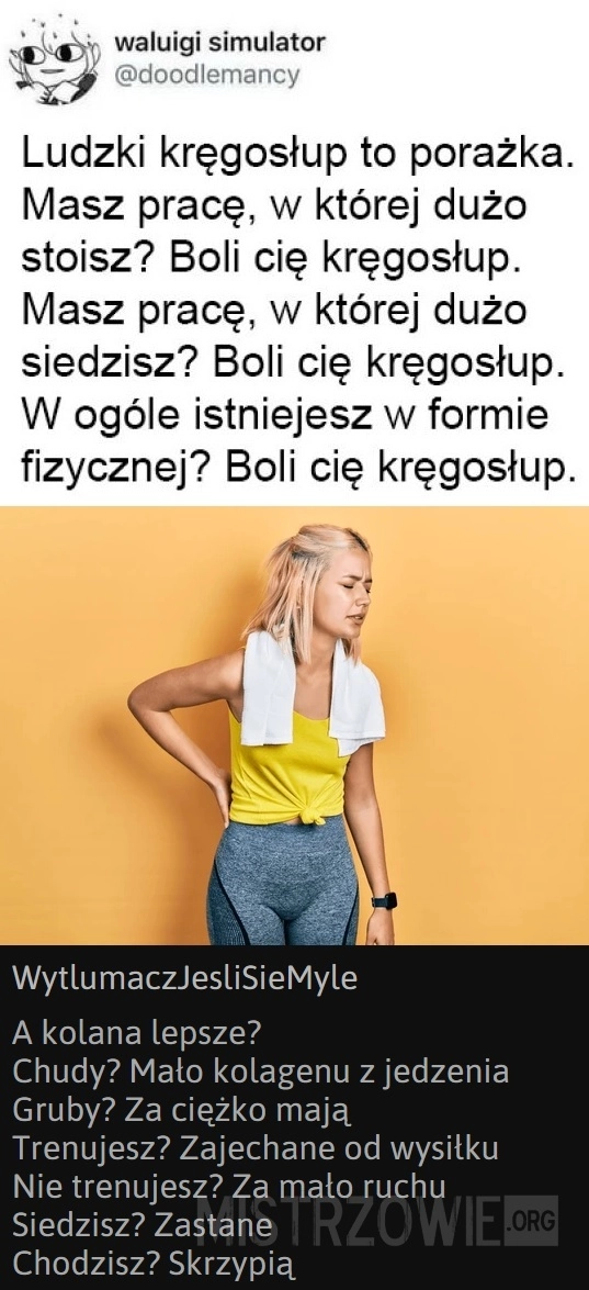 
    Kręgosłup