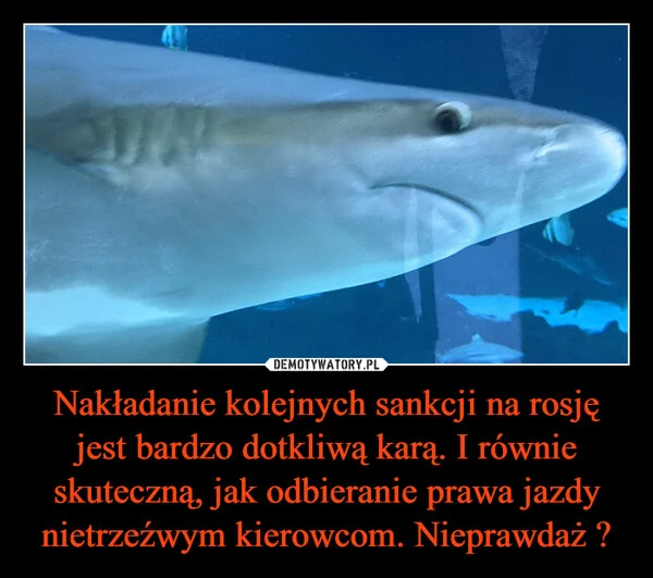 
    Nakładanie kolejnych sankcji na rosję jest bardzo dotkliwą karą. I równie skuteczną, jak odbieranie prawa jazdy nietrzeźwym kierowcom. Nieprawdaż ?