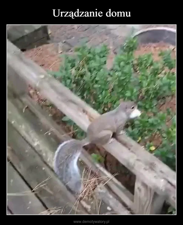 
    Urządzanie domu