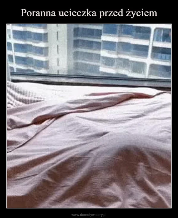 
    Poranna ucieczka przed życiem
