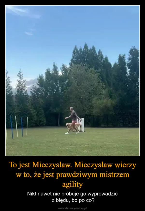 
    To jest Mieczysław. Mieczysław wierzy w to, że jest prawdziwym mistrzem agility