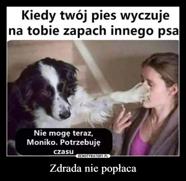 
    Zdrada nie popłaca