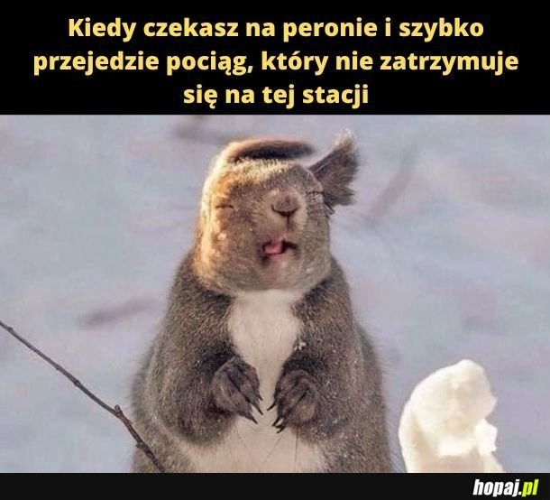
    Pociąg