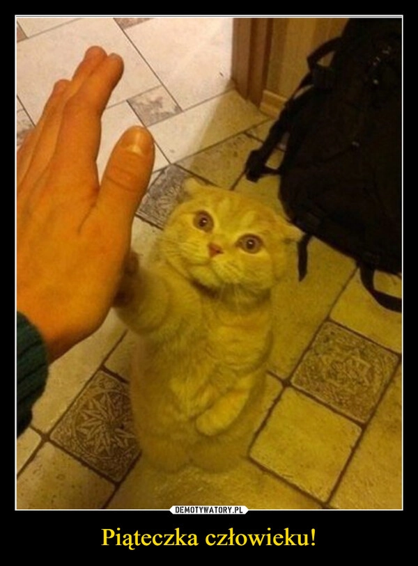 Piąteczka człowieku!