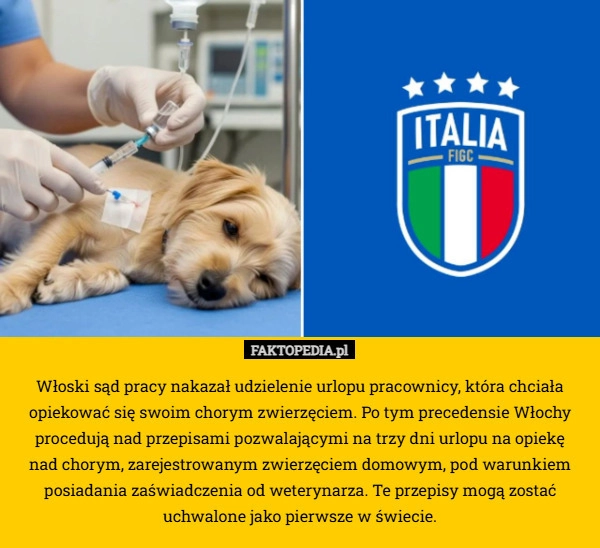 Włoski sąd pracy nakazał udzielenie urlopu pracownicy, która chciała opiekować