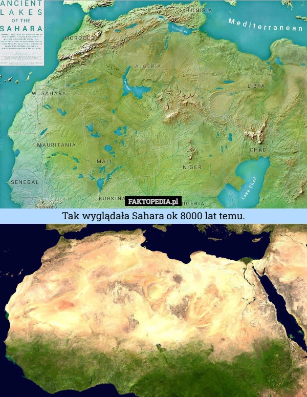 
    Tak wyglądała Sahara ok 8000 lat temu.