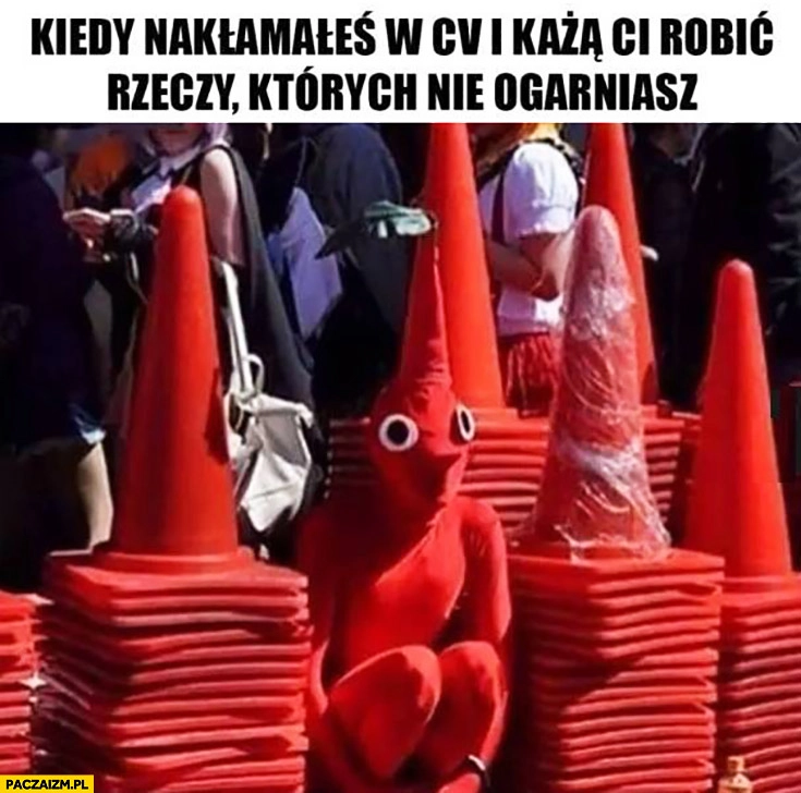 
    Kiedy nakłamałeś w CV i każą Ci robić rzeczy których nie ogarniasz