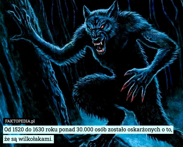 Od 1520 do 1630 roku ponad 30.000 osób zostało oskarżonych o to, że są wilkołakami.