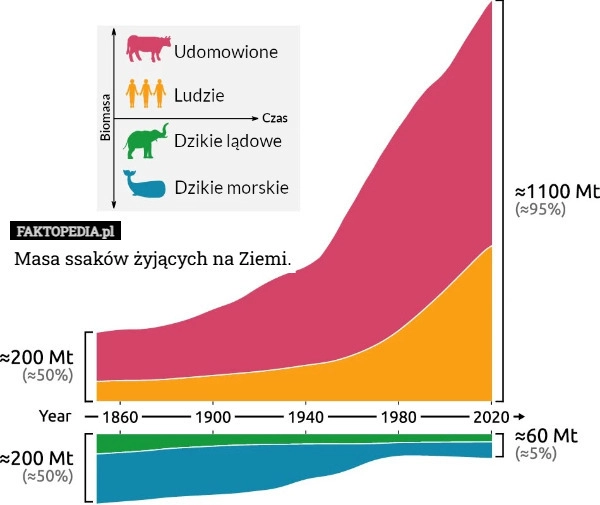 Masa ssaków żyjących na Ziemi.
