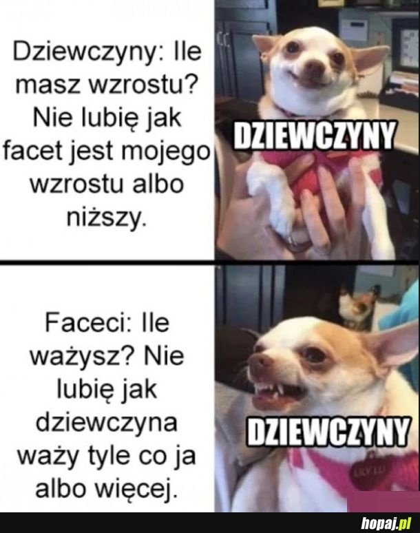Podwójne standardy