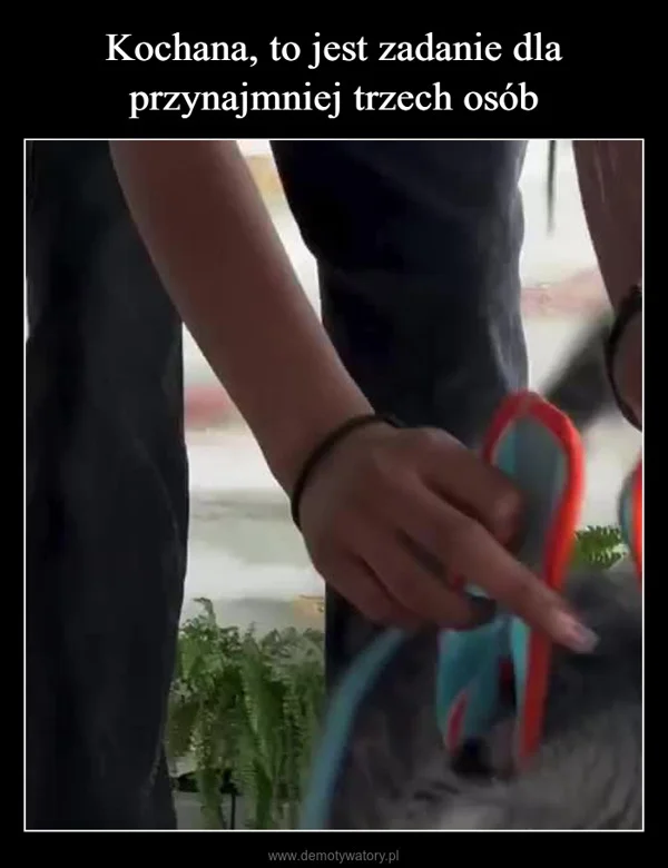 Kochana, to jest zadanie dla przynajmniej trzech osób