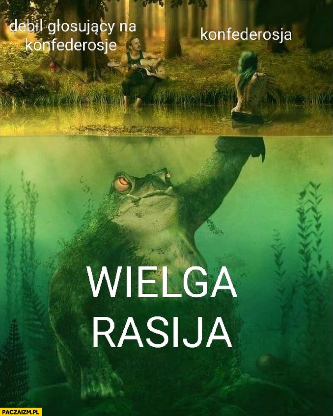 Debil głosujący na konfederacje vs konfederosja kukiełka wielkiej rasiji rosji żaba