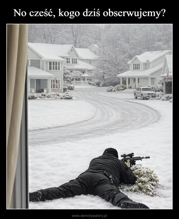 
    No cześć, kogo dziś obserwujemy?