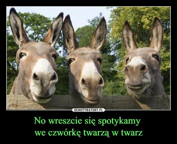 
    No wreszcie się spotykamy we czwórkę twarzą w twarz