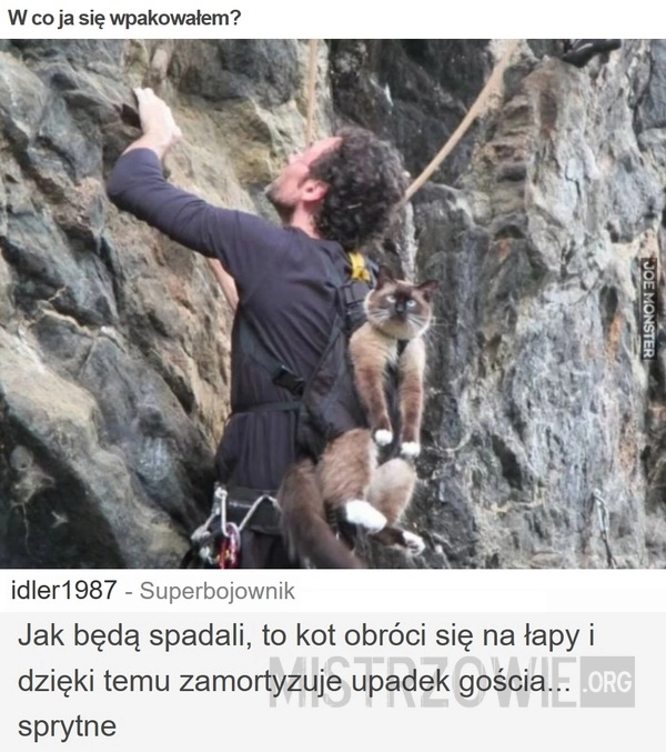 
    W co ja się wpakowałem?