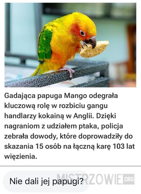 
    Każdy ma prawo do adwokata