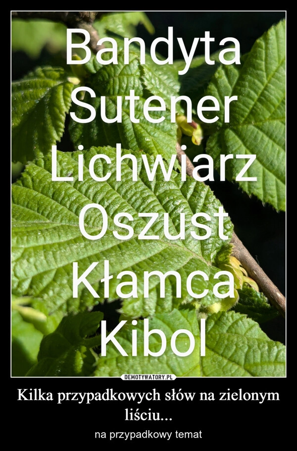 
    Kilka przypadkowych słów na zielonym liściu...