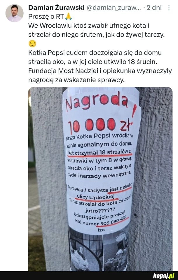 Jak można być takim zwyrolem?