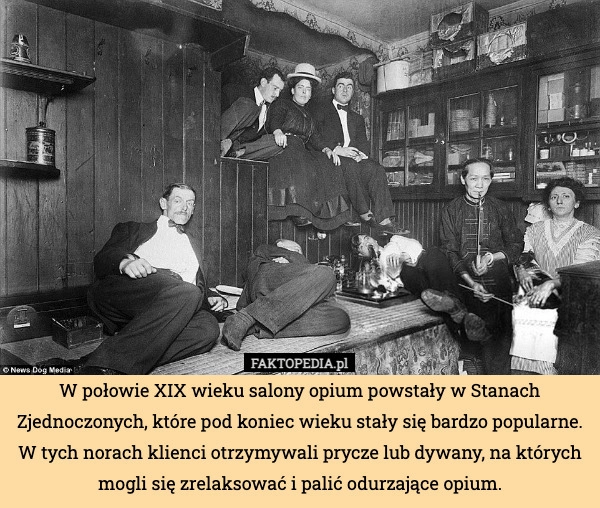 
    W połowie XIX wieku salony opium powstały w Stanach Zjednoczonych, które