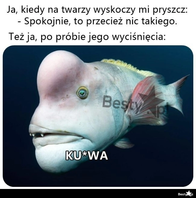 
    Teraz można się martwić 