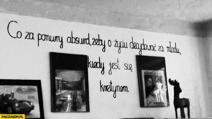 
    Co to za ponury absurd żeby o życiu decydować za młodu kiedy jest się kretynem