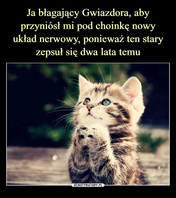 
    
Ja błagający Gwiazdora, aby przyniósł mi pod choinkę nowy
układ nerwowy, ponieważ ten stary zepsuł się dwa lata temu 