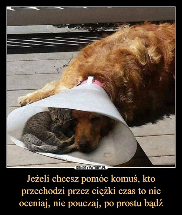 
    Jeżeli chcesz pomóc komuś, kto przechodzi przez ciężki czas to nie oceniaj, nie pouczaj, po prostu bądź
