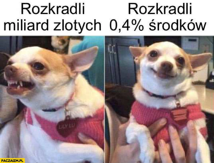 
    Rozkradli miliard złotych vs rozkradli 0,4% procent środków pies piesek