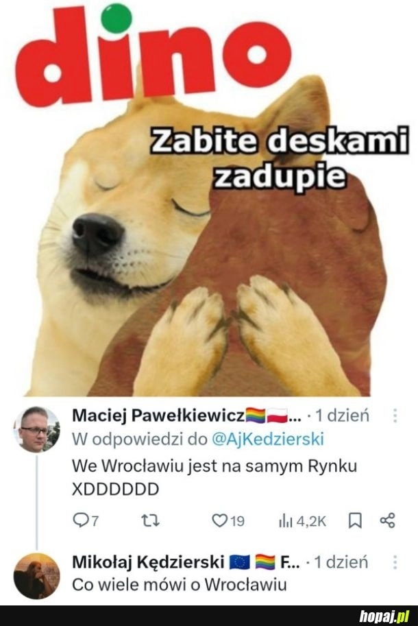 
    Dino we Wrocławiu