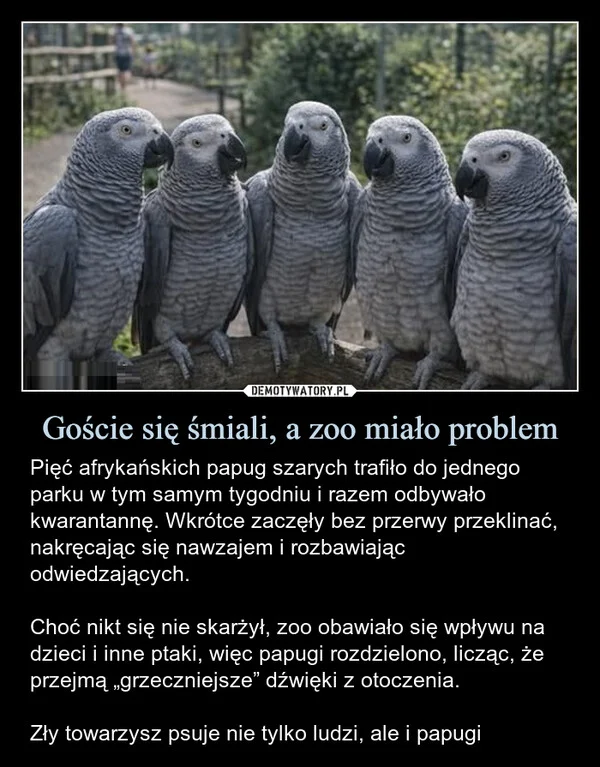 
    Goście się śmiali, a zoo miało problem
