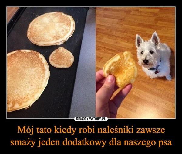 
    Mój tato kiedy robi naleśniki zawsze smaży jeden dodatkowy dla naszego psa