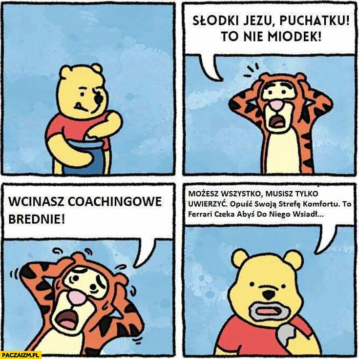 
    Puchatku to nie miodek, wcinasz coachingowe brednie. Możesz wszystko musisz tylko uwierzyć Kubuś Puchatek