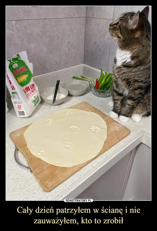 
    Cały dzień patrzyłem w ścianę i nie zauważyłem, kto to zrobił