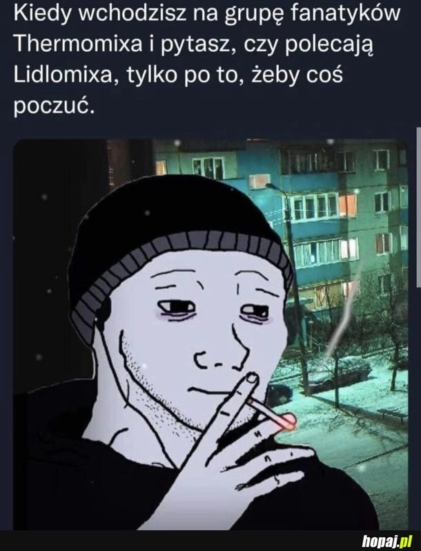 Odwaga czy glupota