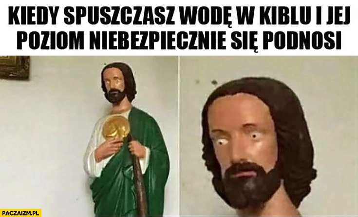 
    Kiedy spuszczasz wodę w kiblu i jej poziom niebezpiecznie się podnosi. Zdziwiony przerażony dziwna mina