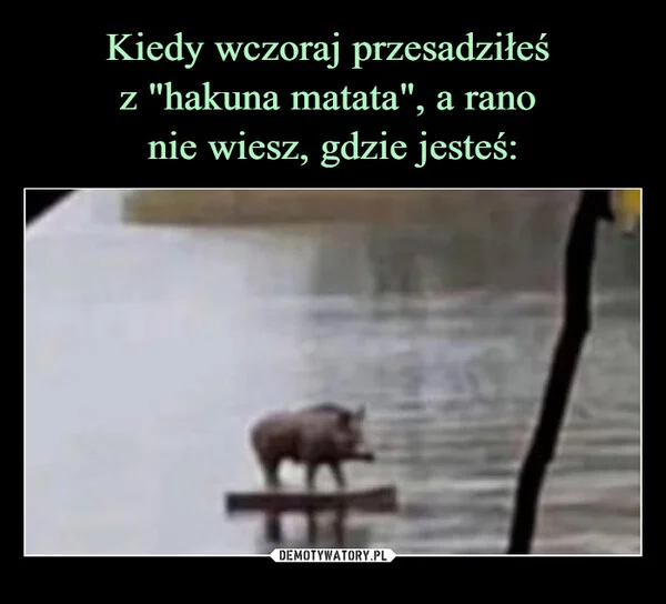 
    Kiedy wczoraj przesadziłeś z 