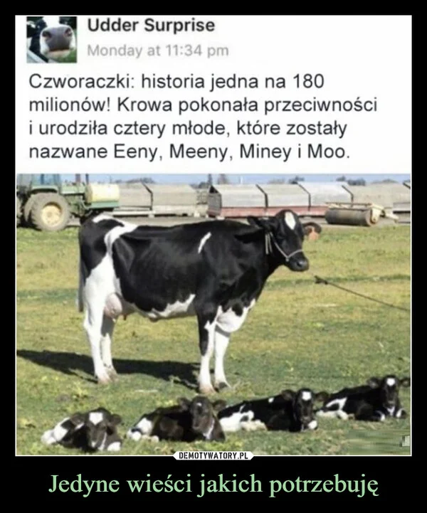 
    Jedyne wieści jakich potrzebuję