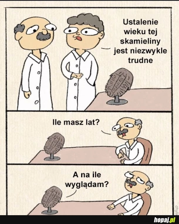 Ważne czy 18 skończone
