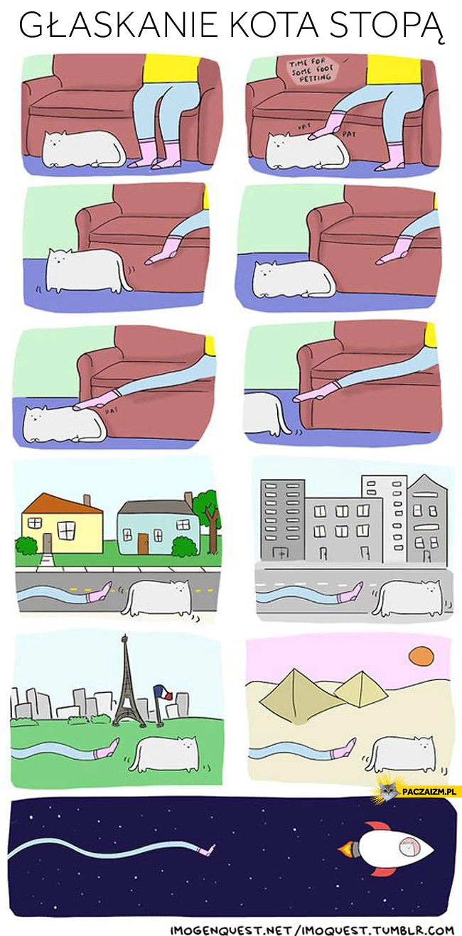 Głaskanie kota stopą odsuwajacy się kot