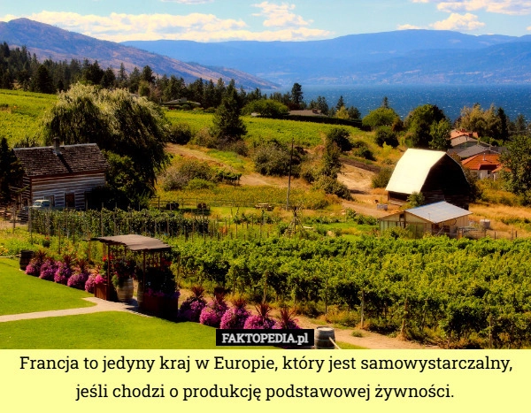 Francja to jedyny kraj w Europie, który jest samowystarczalny, jeśli chodzi