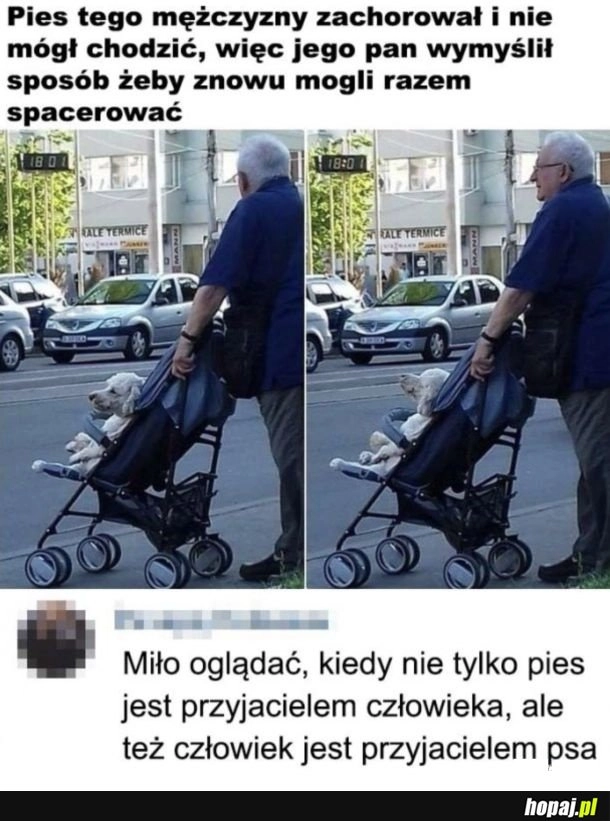 
    Miły widok